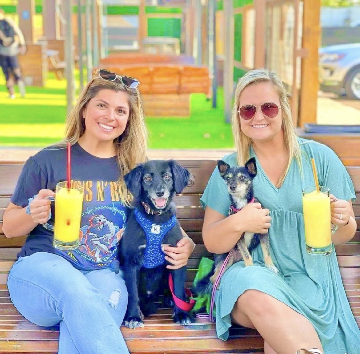 dog friendly bar with frozen drinks