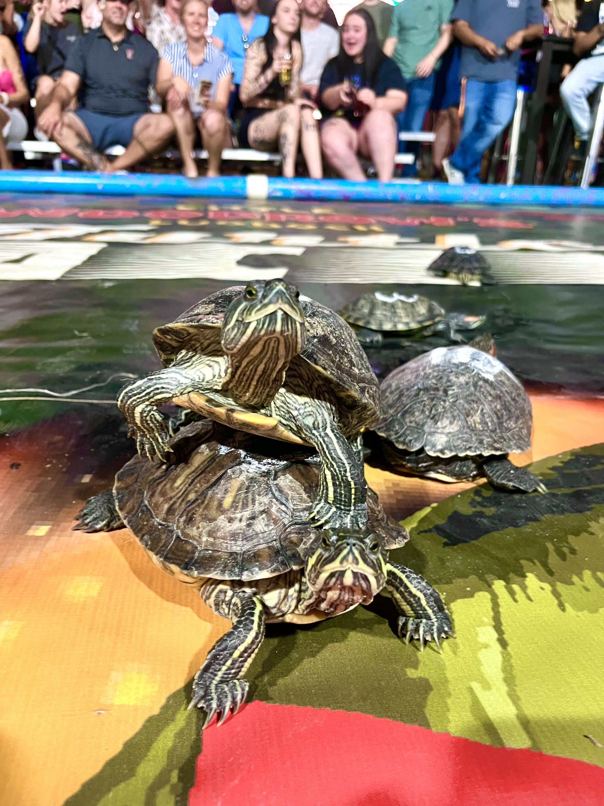 Photo Jun 06 2024, 10 04 14 PM