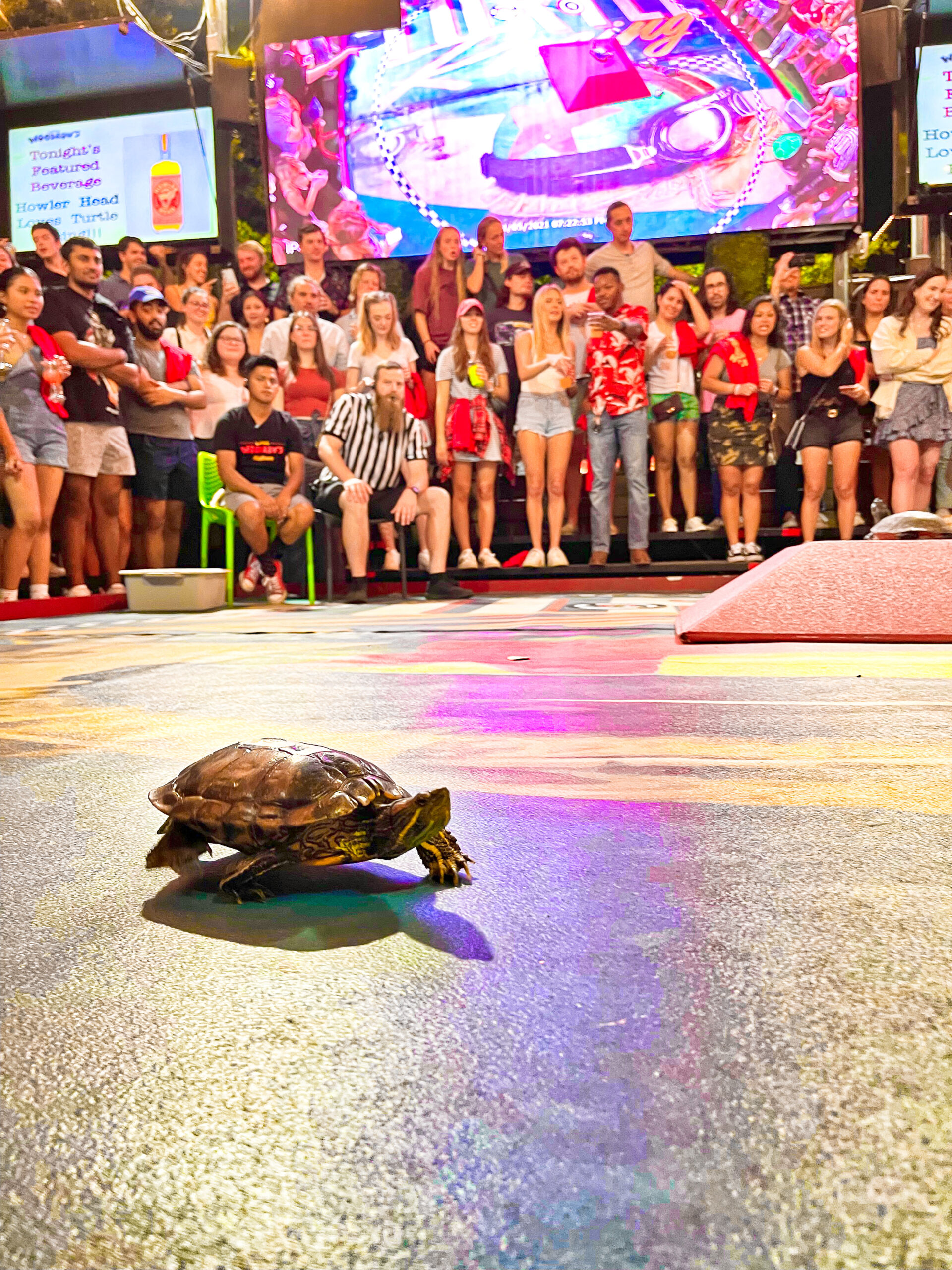 Photo Jun 08 2023, 5 31 52 PM (11)