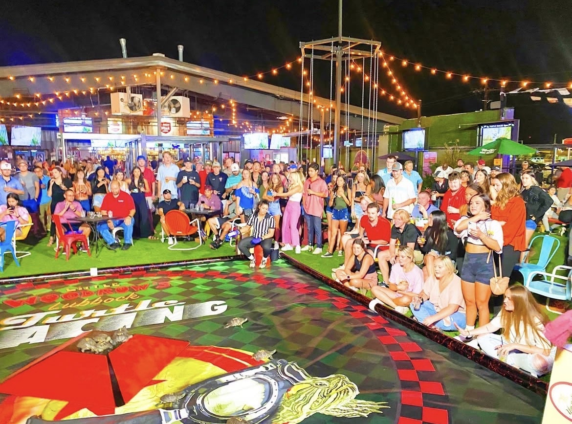 Turtle Racing - Little Woodrow's