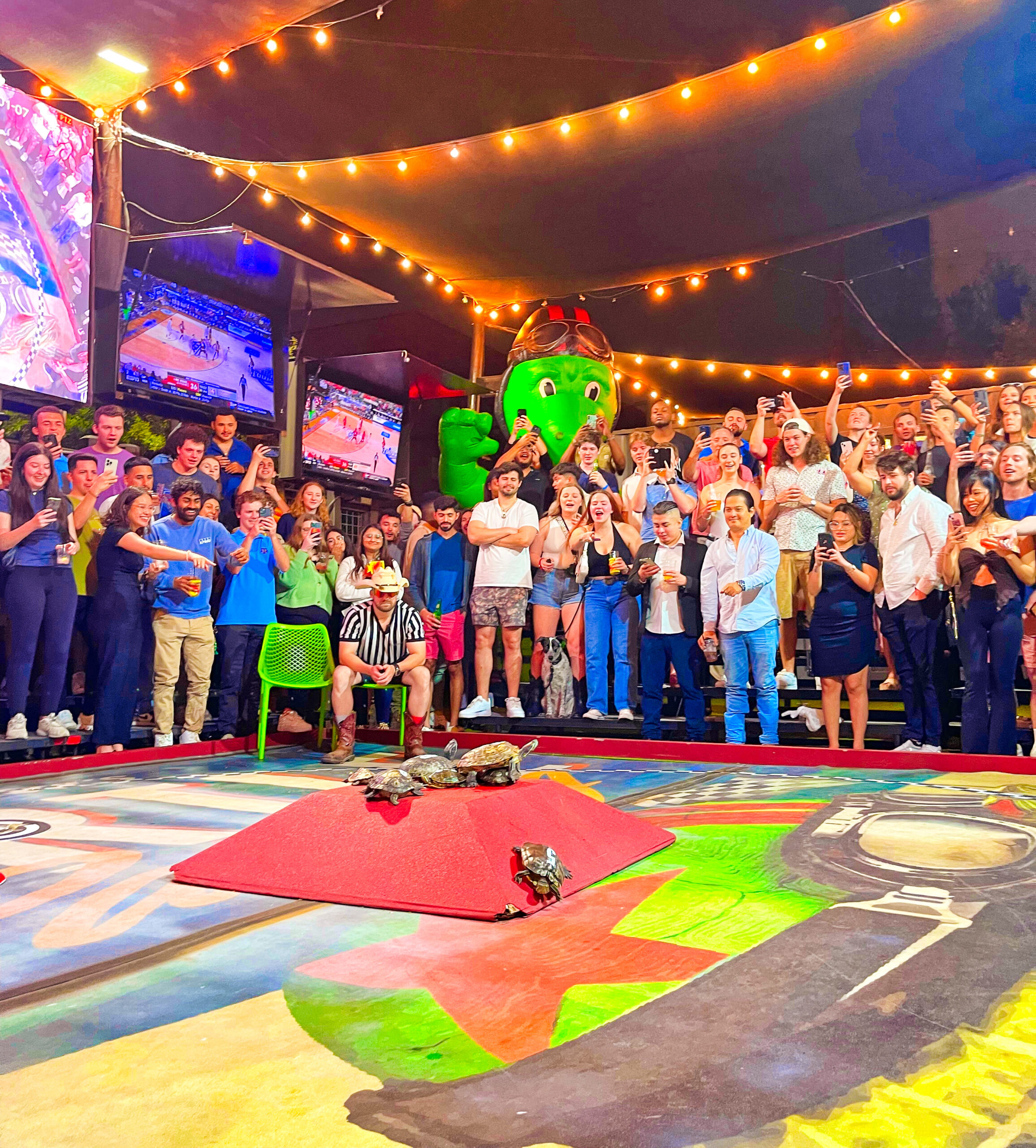 Photo Jun 08 2023, 2 49 06 PM (2)