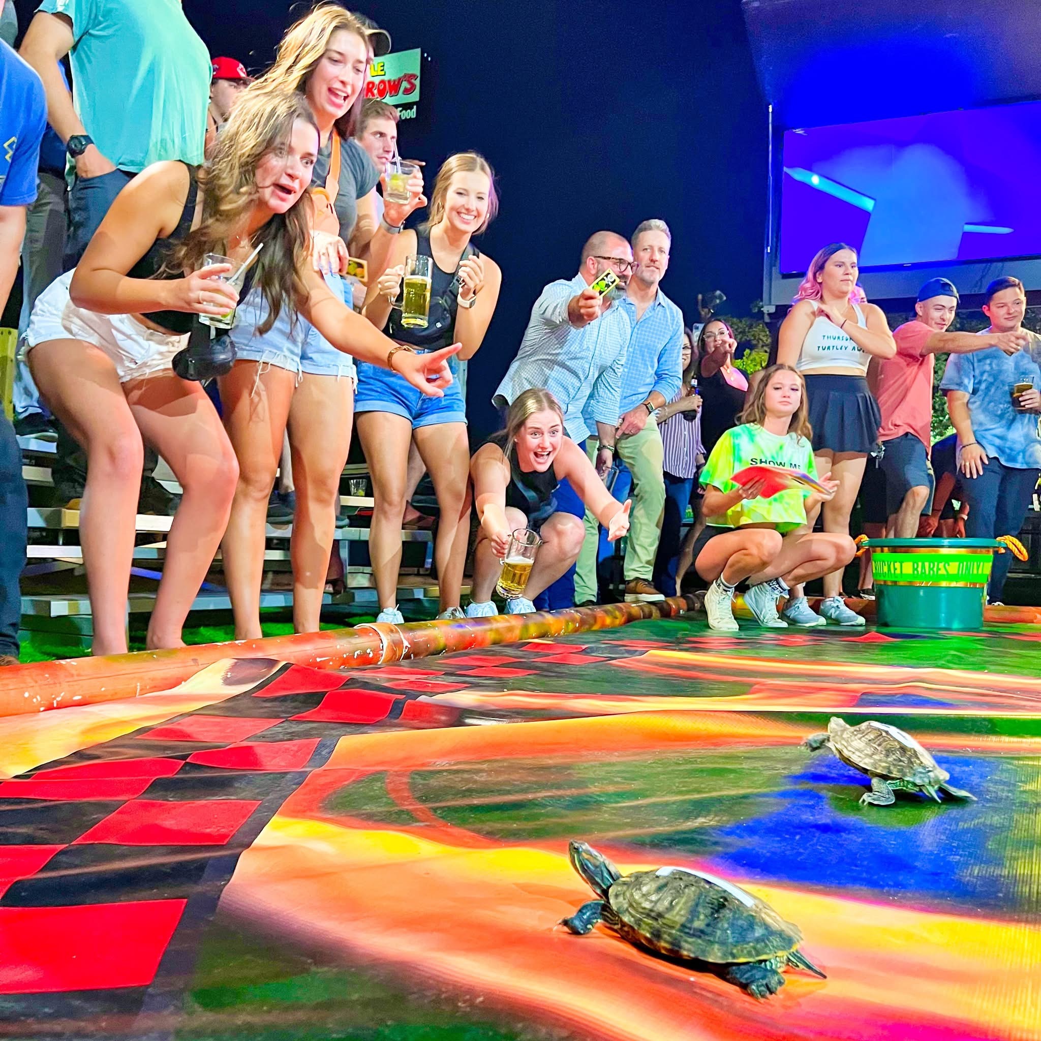 Photo Oct 31 2025, 11 49 07 AM (1)