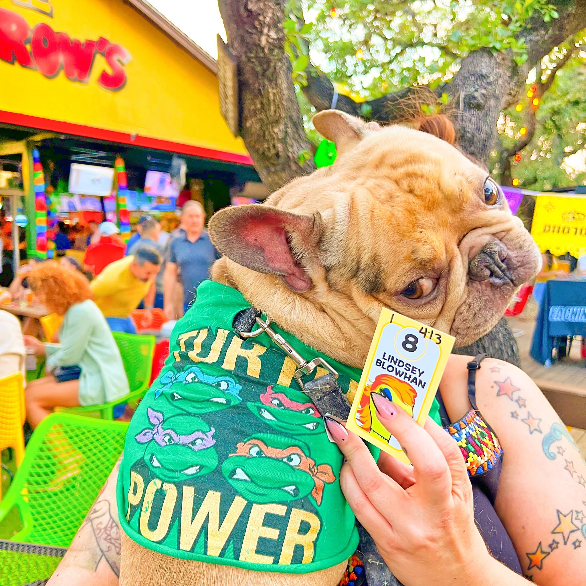 Photo Oct 31 2025, 11 49 07 AM (8) (1)